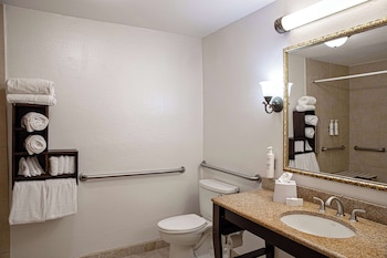 Room, 1 King Bed, Accessible