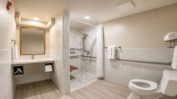 Standard Room, 1 King Bed, Accessible Roll-In Shower, Non Smoking