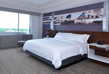 Room, 1 King Bed