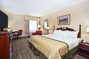 Standard Room, 1 King Bed, Non Smoking