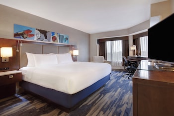Standard Room, 1 King Bed, Mobility Accessible (Roll-In Shower)