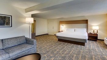 Room, 1 King Bed, Accessible, Balcony (Communications)