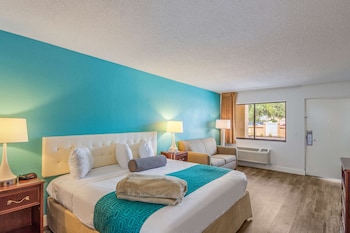Room, 1 King Bed, Accessible, Non Smoking