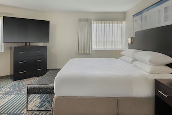 Suite, 1 King Bed with Sofa bed