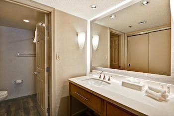 Suite, 1 King Bed with Sofa bed