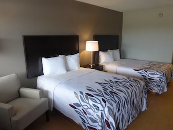 Deluxe Room, 2 Double Beds, Non Smoking