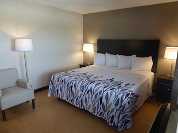 Deluxe Room, 1 Queen Bed, Non Smoking