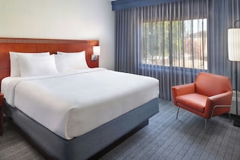 Suite, 1 King Bed with Sofa bed