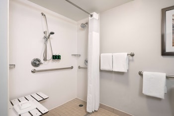 Design Room, 1 King Bed with Sofa bed, Accessible (Mobility/Hearing Roll in Shower)