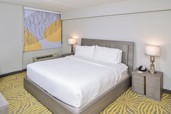Standard Room, 1 King Bed, Accessible (Mobility, Accessible Tub)