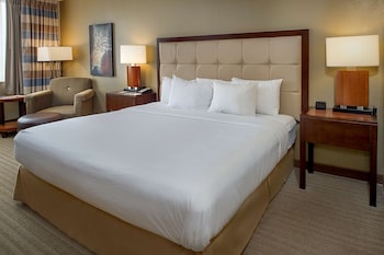 Premium Room, 1 King Bed