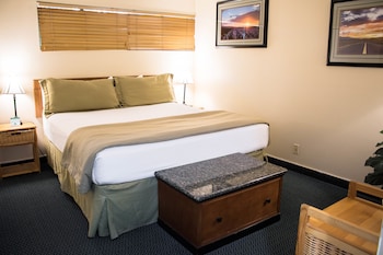 Superior Studio Suite, 1 King Bed with Sofa bed, Kitchen, Ground Floor