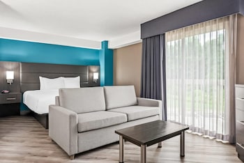 Standard Room, 1 King Bed with Sofa bed, Non Smoking