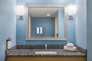 Premium Room, 1 King Bed, Roll-in Shower (Mobility, Roll-In Shower)