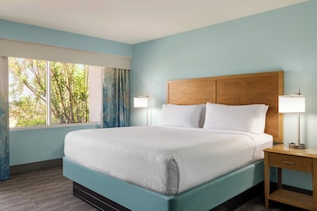 Premium Room, 1 King Bed, Roll-in Shower (Mobility, Roll-In Shower)