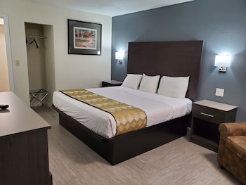Suite, 1 King Bed, Smoking (One-Bedroom)