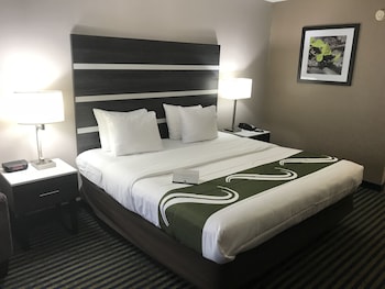 Standard Room, 1 King Bed, Non Smoking