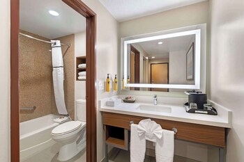 Standard Room, 1 King Bed, Non Smoking, Refrigerator (with Sofabed)