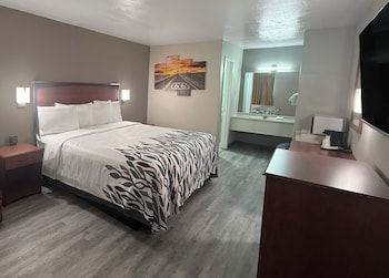 Superior Room, 1 King Bed, Non Smoking