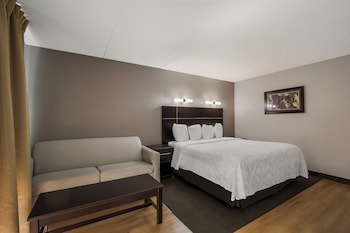 Premium Room, 1 King Bed, Poolside (Upgraded Bedding & Snack, Smoke Free)