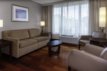 Suite, 1 Bedroom (High Floor)