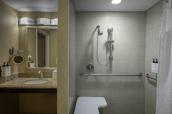 Room, 1 King Bed, Roll-in Shower (Communications, Mobility)
