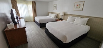 Renovated 2 Queen Beds - Conference Centre