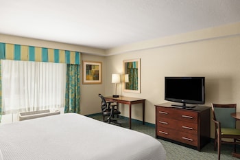 Standard Room, 1 King Bed, Roll-in Shower (Communications, Roll-In Shower)