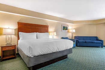 Standard Room, 1 King Bed with Sofa bed