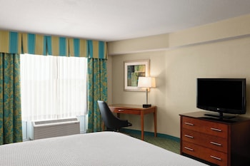 Standard Room, 1 King Bed with Sofa bed
