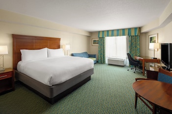 Standard Room, 1 King Bed with Sofa bed