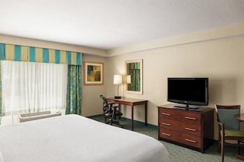 Standard Room, 1 King Bed, Roll-in Shower (Communications, Roll-In Shower)
