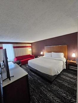 Room, 1 Queen Bed