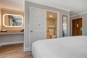Standard Room, 1 King Bed, Accessible, Bathtub