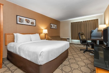 Comfort Care, Standard Room, 1 Queen Bed with Sofa bed, Non Smoking