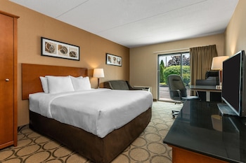 Standard Room, 1 Queen Bed, Non Smoking, Ground Floor