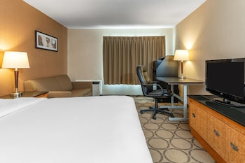 Comfort Care, Standard Room, 1 Queen Bed with Sofa bed, Non Smoking