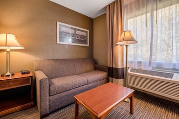 Suite, 1 King Bed with Sofa bed, Non Smoking