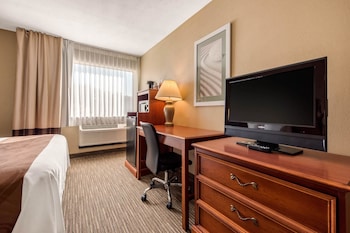 Standard Room, 1 King Bed, Non Smoking
