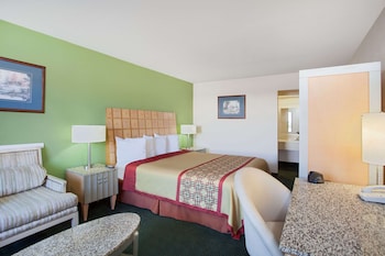 Room, 1 King Bed, Non Smoking