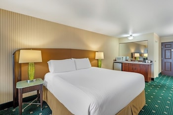 Standard Single Room, 1 King Bed