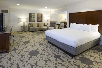 Junior Suite, 1 King Bed