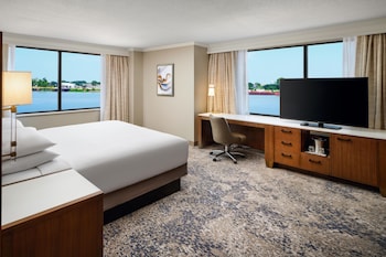 Room, 1 King Bed (29th Floor)