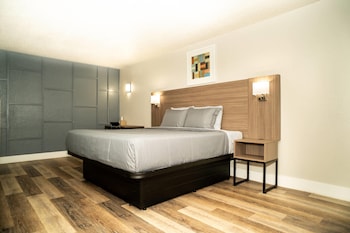 Standard Room, 1 King Bed, Smoking