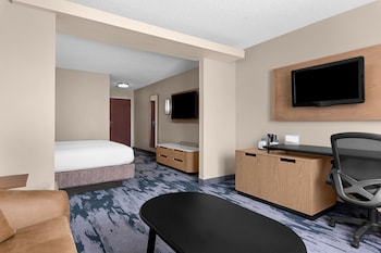 Executive Studio, 1 King Bed with Sofa bed