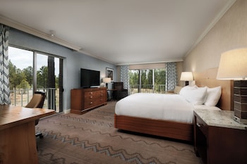 Grand Room, 1 King Bed, Park View
