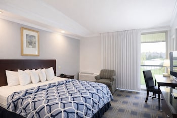 River-view, 1 King Bed with Balcony