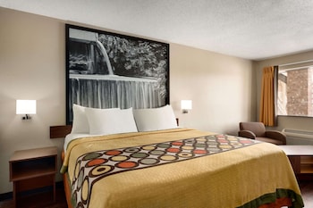Room, 1 King Bed, Non Smoking