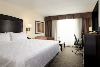 Standard Room, 1 King Bed with Sofa bed