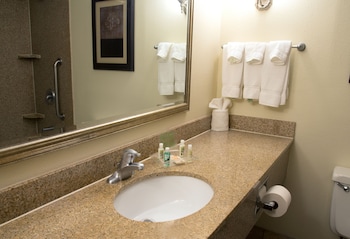 Standard Room, 1 King Bed, Accessible (Communications)